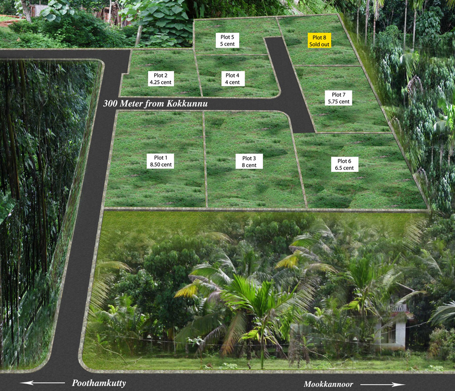 Plot Map Project II